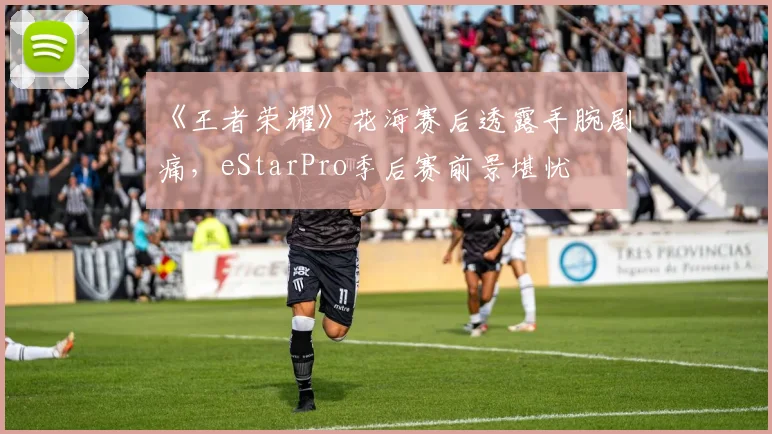 《王者荣耀》花海赛后透露手腕剧痛，eStarPro季后赛前景堪忧